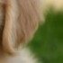 Profile picture of Helinfreeman