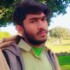 Profile picture of Shaib