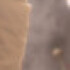 Profile picture of Adama