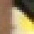 Profile picture of Sam