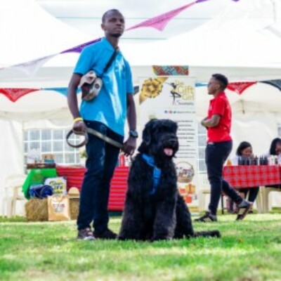 Profile picture of Genesis