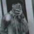 Profile picture of VS