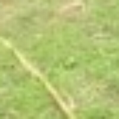 Profile picture of Michy