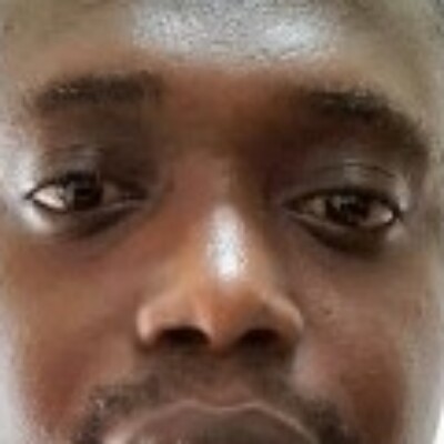 Profile picture of Dan Dan