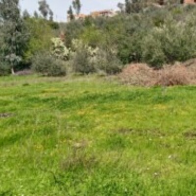Profile picture of Mohmaed