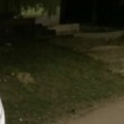 Profile picture of Alex