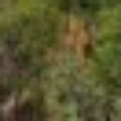 Profile picture of Amit