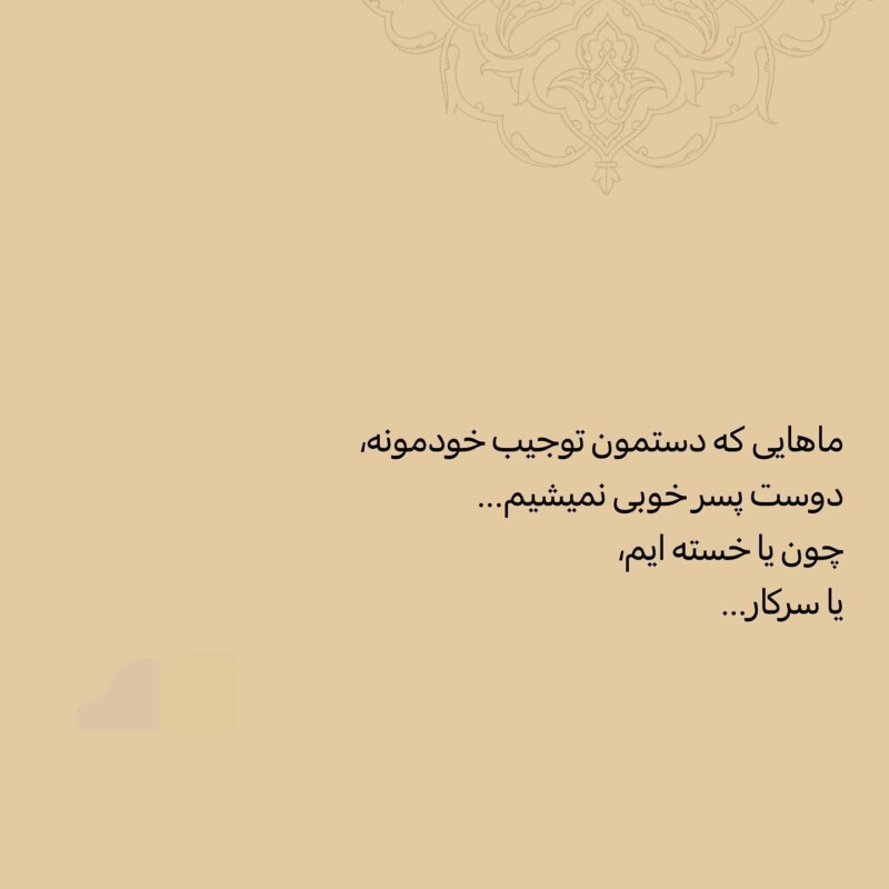 20221203-0001
